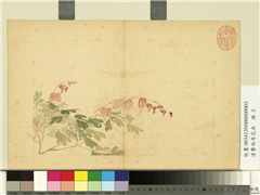 清费而奇花卉　册　鱼儿牡丹,绘画,花草