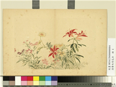 清费而奇花卉　册　菊花石竹,绘画,花草