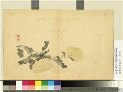 清费而奇花卉　册　菊花,绘画,花草