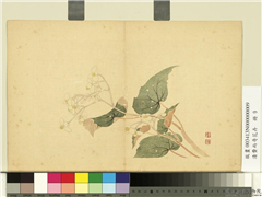 清费而奇花卉　册　海棠,绘画,花草