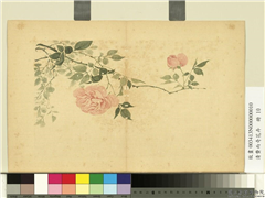 清费而奇花卉　册　月季,绘画,花草