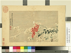 清费而奇花卉　册　南天竺,绘画,花草