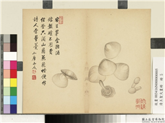 清王圣火画册　册　花蛤,绘画,水中动植物,果蔬