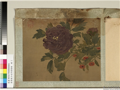 清黄慎王旼序荣集绘　册　牡丹,绘画,花草