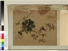 清黄慎王旼序荣集绘　册　桃花,绘画,花草