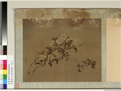 清黄慎王旼序荣集绘　册　梨花,绘画,花草
