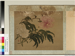 清黄慎王旼序荣集绘　册　芍药,绘画,花草