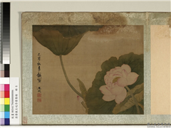 清黄慎王旼序荣集绘　册　荷花,绘画,花草