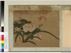 清黄慎王旼序荣集绘　册　芙蓉,绘画,花草