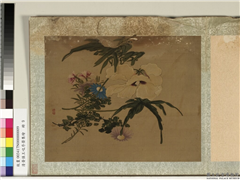清黄慎王旼序荣集绘　册　秋葵,绘画,花草