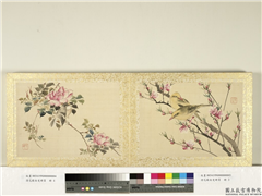 清花蹊女史册页　册　桃花黄鹂,绘画,翎毛,花草