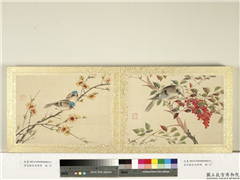 清花蹊女史册页　册　天竺橿鸟,绘画,翎毛,花草