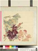 清李培雨画牡丹　册　牡丹（一）,绘画,花草