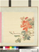 清李培雨画牡丹　册　牡丹（二）,绘画,花草