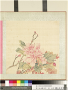 清李培雨画牡丹　册　牡丹（三）,绘画,花草