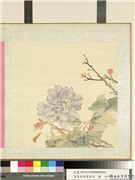 清李培雨画牡丹　册　牡丹（四）,绘画,花草