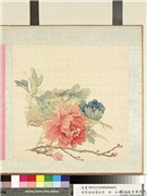 清李培雨画牡丹　册　牡丹（五）,绘画,花草