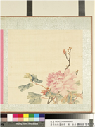 清李培雨画牡丹　册　牡丹（六）,绘画,花草