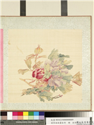 清李培雨画牡丹　册　牡丹（九）,绘画,花草