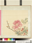 清李培雨画牡丹　册　牡丹（十一）,绘画,花草