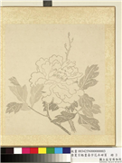 清夏宗辂画寿字花卉册页　册　牡丹,绘画,花草