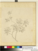 清夏宗辂画寿字花卉册页　册　梨花,绘画,花草