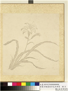 清夏宗辂画寿字花卉册页　册　萱花,绘画,花草