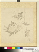 清夏宗辂画寿字花卉册页　册　月季,绘画,花草