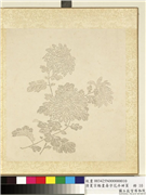 清夏宗辂画寿字花卉册页　册　菊,绘画,花草
