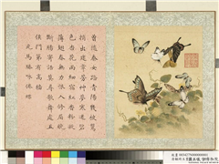 清顾琦玉耋算京垓　册　元马臻咏倦蝶,绘画,草虫,花草