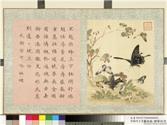清顾琦玉耋算京垓　册　元谢宗可咏睡蝶,绘画,草虫,花草