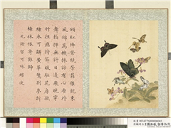 清顾琦玉耋算京垓　册　元谢宗可咏蝶使,绘画,草虫,花草