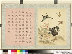 清顾琦玉耋算京垓　册　明瞿佑咏黄蝶,绘画,草虫,花草