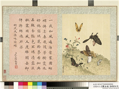 清顾琦玉耋算京垓　册　明沈天孙咏宿蝶,绘画,草虫,花草