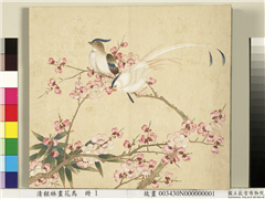 清程琳画花鸟　册　红梅竹寿带,绘画,翎毛,花草,树木