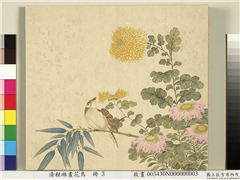 清程琳画花鸟　册　竹菊麻雀,绘画,花草,翎毛,树木