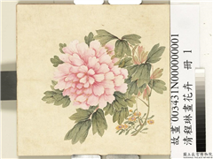 清程琳画花卉　册　牡丹,绘画,花草