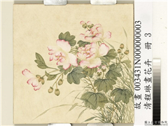清程琳画花卉　册　芙蓉,绘画,花草