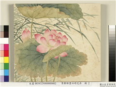清程琳画四时花卉　册　莲花芦苇,绘画,花草