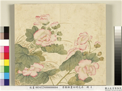 清程琳画四时花卉　册　芙蓉,绘画,花草