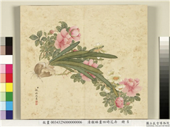 清程琳画四时花卉　册　月季水仙,绘画,花草