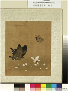 清鲁鼐画花鸟　册　花蝶,绘画,草虫,花草