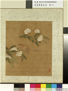 清鲁鼐画花鸟　册　翎毛,绘画,花草,翎毛