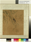 清鲁鼐画花鸟　册　杨柳蝉,绘画,草虫,树木