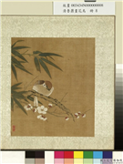 清鲁鼐画花鸟　册　梅竹麻雀,绘画,花草,翎毛,树木