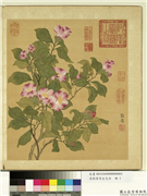 清张伟写生花卉　册　山茶,绘画,花草