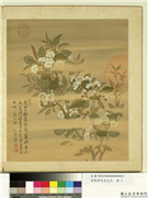 清张伟写生花卉　册　梨花,绘画,花草,山水