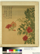 清张伟写生花卉　册　凌霄,绘画,花草