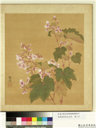 清张伟写生花卉　册　秋海棠,绘画,花草