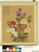 清张伟写生花卉　册　菊花,绘画,花草